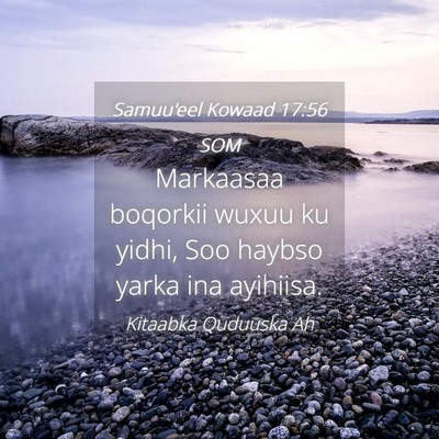 Picture 04 - Samuu'eel Kowaad 17:56 SOM - Markaasaa boqorkii wuxuu ku yidhi, Soo haybso - Bible Verse Picture
