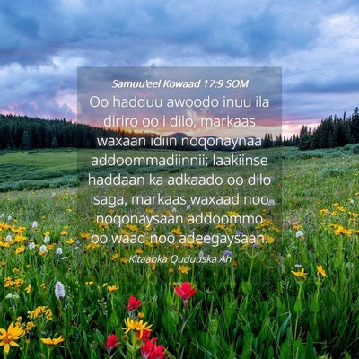 Picture 04 - Samuu'eel Kowaad 17:9 SOM - Oo hadduu awoodo inuu ila diriro oo i dilo, - Bible Verse Picture