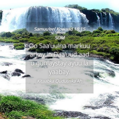 Picture 04 - Samuu'eel Kowaad 18:15 SOM - Oo Saa'uulna markuu arkay in Daa'uud aad u - Bible Verse Picture