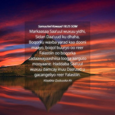 Picture 04 - Samuu'eel Kowaad 18:25 SOM - Markaasaa Saa'uul wuxuu yidhi, Sidan Daa'uud ku - Bible Verse Picture