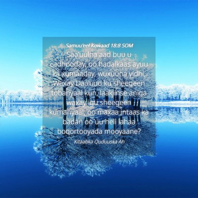 Picture 04 - Samuu'eel Kowaad 18:8 SOM - Saa'uulna aad buu u cadhooday, oo hadalkaas ayuu - Bible Verse Picture