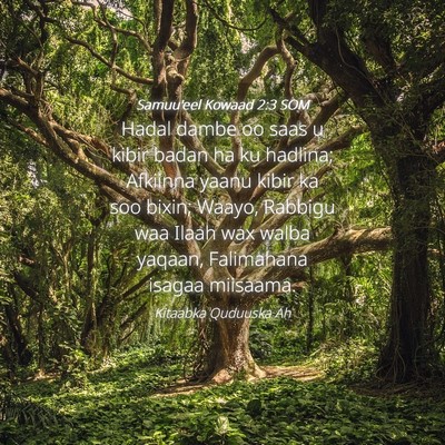 Picture 04 - Samuu'eel Kowaad 2:3 SOM - Hadal dambe oo saas u kibir badan ha ku hadlina; - Bible Verse Picture