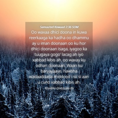 Picture 04 - Samuu'eel Kowaad 2:36 SOM - Oo waxaa dhici doona in kuwa reerkaaga ka hadha - Bible Verse Picture
