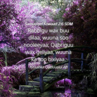 Picture 04 - Samuu'eel Kowaad 2:6 SOM - Rabbigu wax buu dilaa, wuuna soo nooleeyaa; - Bible Verse Picture