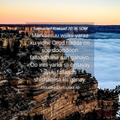 Picture 04 - Samuu'eel Kowaad 20:36 SOM - Markaasuu wiilkii yaraa ku yidhi, Orod hadda oo - Bible Verse Picture