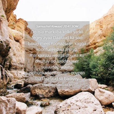 Picture 04 - Samuu'eel Kowaad 20:41 SOM - Oo isla markiiba kolkii yarkii tegey ayaa Daa'uud - Bible Verse Picture