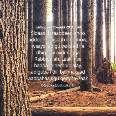 Picture 04 - Samuu'eel Kowaad 20:8 SOM - Sidaas daraaddeed anoo addoonkaaga ah ii roonow; - Bible Verse Picture