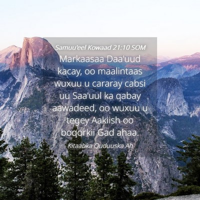 Picture 04 - Samuu'eel Kowaad 21:10 SOM - Markaasaa Daa'uud kacay, oo maalintaas wuxuu u - Bible Verse Picture