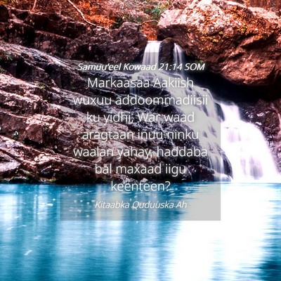 Picture 04 - Samuu'eel Kowaad 21:14 SOM - Markaasaa Aakiish wuxuu addoommadiisii ku yidhi, - Bible Verse Picture