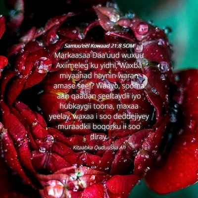 Picture 04 - Samuu'eel Kowaad 21:8 SOM - Markaasaa Daa'uud wuxuu Axiimeleg ku yidhi, Waxba - Bible Verse Picture