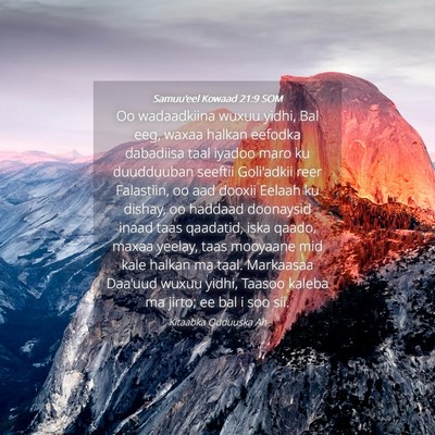 Picture 04 - Samuu'eel Kowaad 21:9 SOM - Oo wadaadkiina wuxuu yidhi, Bal eeg, waxaa halkan - Bible Verse Picture