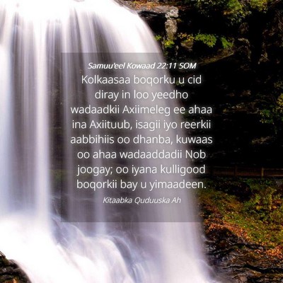 Picture 04 - Samuu'eel Kowaad 22:11 SOM - Kolkaasaa boqorku u cid diray in loo yeedho - Bible Verse Picture