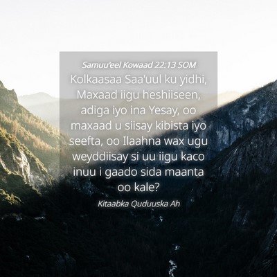 Picture 04 - Samuu'eel Kowaad 22:13 SOM - Kolkaasaa Saa'uul ku yidhi, Maxaad iigu - Bible Verse Picture