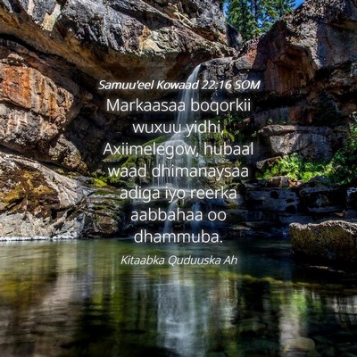 Picture 04 - Samuu'eel Kowaad 22:16 SOM - Markaasaa boqorkii wuxuu yidhi, Axiimelegow, - Bible Verse Picture