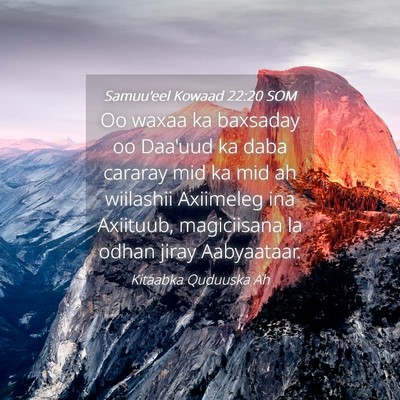 Picture 04 - Samuu'eel Kowaad 22:20 SOM - Oo waxaa ka baxsaday oo Daa'uud ka daba cararay - Bible Verse Picture