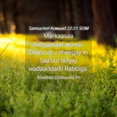Picture 04 - Samuu'eel Kowaad 22:21 SOM - Markaasaa Aabyaataar wuxuu Daa'uud u sheegay in - Bible Verse Picture