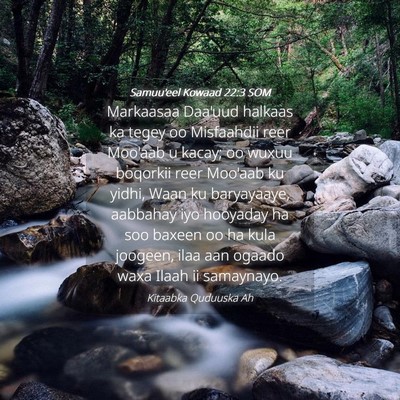 Picture 04 - Samuu'eel Kowaad 22:3 SOM - Markaasaa Daa'uud halkaas ka tegey oo Misfaahdii - Bible Verse Picture