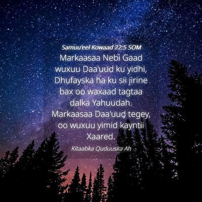 Picture 04 - Samuu'eel Kowaad 22:5 SOM - Markaasaa Nebi Gaad wuxuu Daa'uud ku yidhi, - Bible Verse Picture