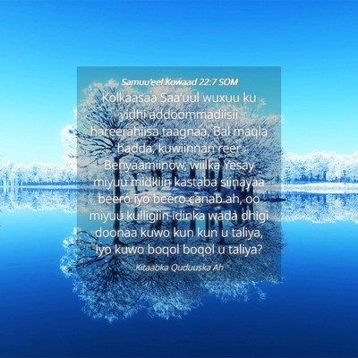 Picture 04 - Samuu'eel Kowaad 22:7 SOM - Kolkaasaa Saa'uul wuxuu ku yidhi addoommadiisii - Bible Verse Picture
