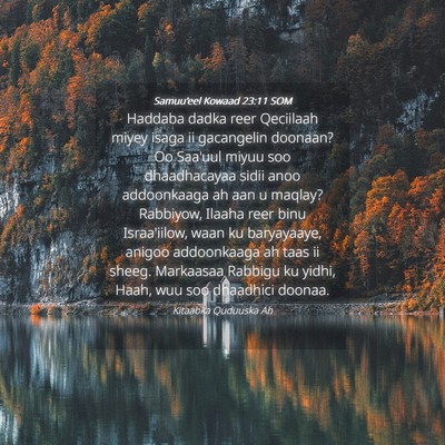 Picture 04 - Samuu'eel Kowaad 23:11 SOM - Haddaba dadka reer Qeciilaah miyey isaga ii - Bible Verse Picture