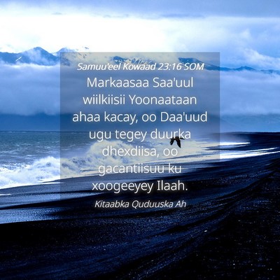 Picture 04 - Samuu'eel Kowaad 23:16 SOM - Markaasaa Saa'uul wiilkiisii Yoonaataan ahaa - Bible Verse Picture