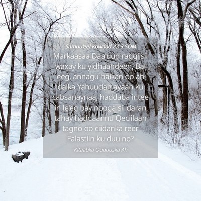 Picture 04 - Samuu'eel Kowaad 23:3 SOM - Markaasaa Daa'uud raggiisii waxay ku yidhaahdeen, - Bible Verse Picture
