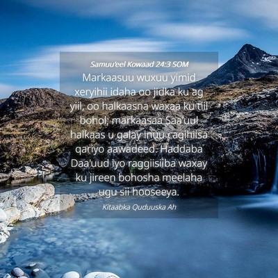 Picture 04 - Samuu'eel Kowaad 24:3 SOM - Markaasuu wuxuu yimid xeryihii idaha oo jidka ku - Bible Verse Picture
