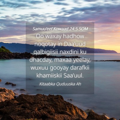 Picture 04 - Samuu'eel Kowaad 24:5 SOM - Oo waxay hadhow noqotay in Daa'uud qalbigiisii - Bible Verse Picture