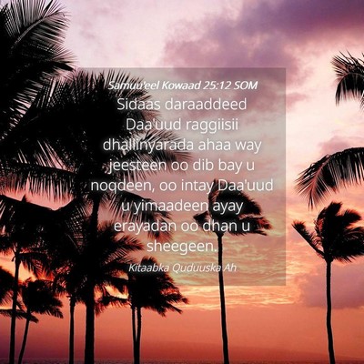 Picture 04 - Samuu'eel Kowaad 25:12 SOM - Sidaas daraaddeed Daa'uud raggiisii dhallinyarada - Bible Verse Picture