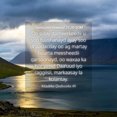 Picture 04 - Samuu'eel Kowaad 25:20 SOM - Oo siday dameerkeedii u soo fuushanayd ayay soo - Bible Verse Picture