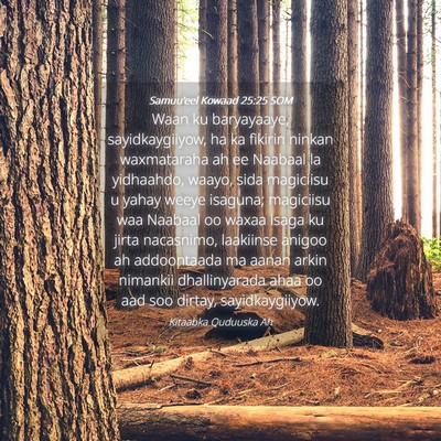Picture 04 - Samuu'eel Kowaad 25:25 SOM - Waan ku baryayaaye, sayidkaygiiyow, ha ka fikirin - Bible Verse Picture