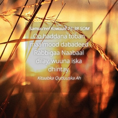 Picture 04 - Samuu'eel Kowaad 25:38 SOM - Oo haddana toban maalmood dabadeed Rabbigaa - Bible Verse Picture