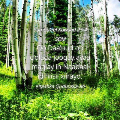 Picture 04 - Samuu'eel Kowaad 25:4 SOM - Oo Daa'uud oo cidlada joogay ayaa maqlay in - Bible Verse Picture