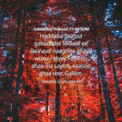 Picture 04 - Samuu'eel Kowaad 25:44 SOM - Haddaba Saa'uul gabadhiisii Miikaal ee Daa'uud - Bible Verse Picture
