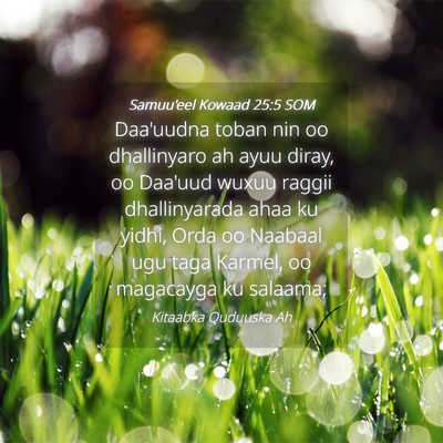 Picture 04 - Samuu'eel Kowaad 25:5 SOM - Daa'uudna toban nin oo dhallinyaro ah ayuu diray, - Bible Verse Picture