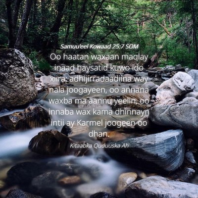 Picture 04 - Samuu'eel Kowaad 25:7 SOM - Oo haatan waxaan maqlay inaad haysatid kuwo ido - Bible Verse Picture