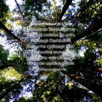 Picture 04 - Samuu'eel Kowaad 26:17 SOM - Markaasaa Saa'uul gartay Daa'uud codkiisii oo - Bible Verse Picture