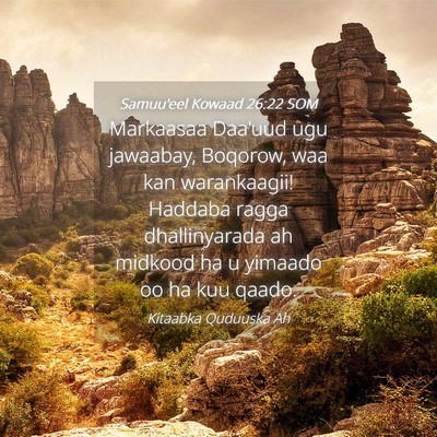Picture 04 - Samuu'eel Kowaad 26:22 SOM - Markaasaa Daa'uud ugu jawaabay, Boqorow, waa kan - Bible Verse Picture