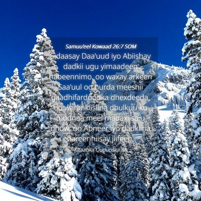 Picture 04 - Samuu'eel Kowaad 26:7 SOM - Sidaasay Daa'uud iyo Abiishay dadkii ugu - Bible Verse Picture