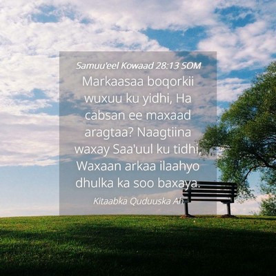 Picture 04 - Samuu'eel Kowaad 28:13 SOM - Markaasaa boqorkii wuxuu ku yidhi, Ha cabsan ee - Bible Verse Picture