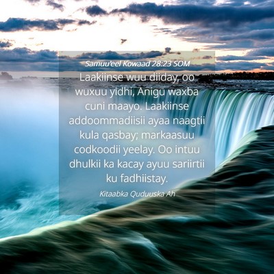 Picture 04 - Samuu'eel Kowaad 28:23 SOM - Laakiinse wuu diiday, oo wuxuu yidhi, Anigu waxba - Bible Verse Picture