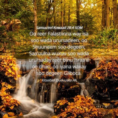 Picture 04 - Samuu'eel Kowaad 28:4 SOM - Oo reer Falastiinna way isa soo wada urursadeen, - Bible Verse Picture