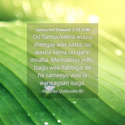 Picture 04 - Samuu'eel Kowaad 3:18 SOM - Oo Samuu'eelna wuu u sheegay wax kasta, oo waxba - Bible Verse Picture