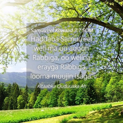 Picture 04 - Samuu'eel Kowaad 3:7 SOM - Haddaba Samuu'eel weli ma uu aqoon Rabbiga, oo - Bible Verse Picture