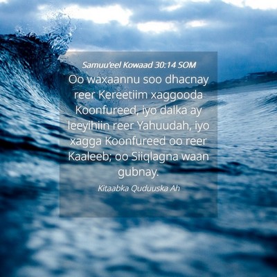 Picture 04 - Samuu'eel Kowaad 30:14 SOM - Oo waxaannu soo dhacnay reer Kereetiim xaggooda - Bible Verse Picture