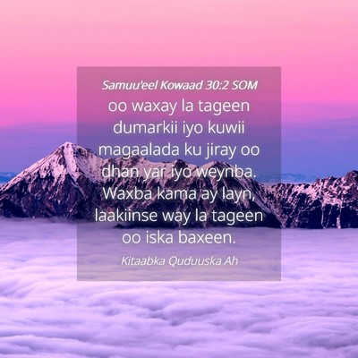 Picture 04 - Samuu'eel Kowaad 30:2 SOM - oo waxay la tageen dumarkii iyo kuwii magaalada - Bible Verse Picture