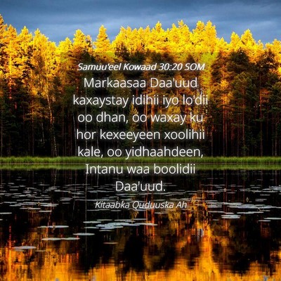 Picture 04 - Samuu'eel Kowaad 30:20 SOM - Markaasaa Daa'uud kaxaystay idihii iyo lo'dii oo - Bible Verse Picture