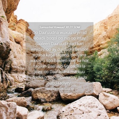 Picture 04 - Samuu'eel Kowaad 30:21 SOM - Oo Daa'uudna wuxuu u yimid labadii boqol oo nin - Bible Verse Picture
