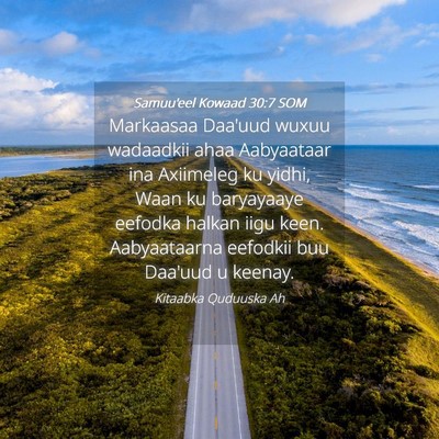 Picture 04 - Samuu'eel Kowaad 30:7 SOM - Markaasaa Daa'uud wuxuu wadaadkii ahaa Aabyaataar - Bible Verse Picture