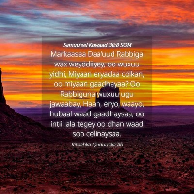 Picture 04 - Samuu'eel Kowaad 30:8 SOM - Markaasaa Daa'uud Rabbiga wax weyddiiyey, oo - Bible Verse Picture
